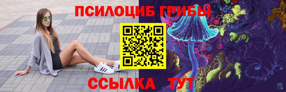 Псилоцибиновые грибы Psilocybe Щёкино