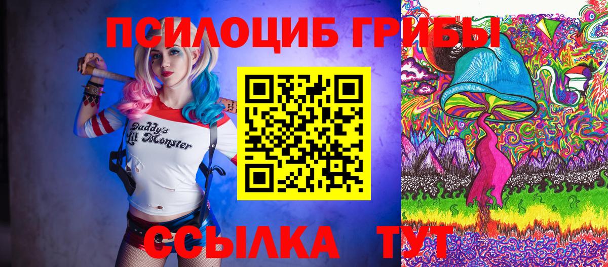 Щёкино  Псилоцибиновые грибы MAGIC MUSHROOMS  Вход с VPN 