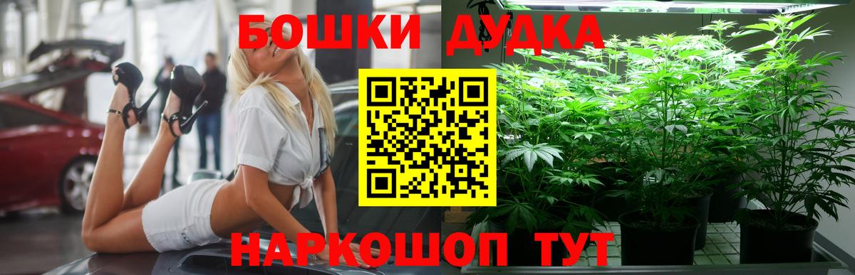 Бошки Шишки ГИДРОПОН  Конопля гибрид  Марихуана гибрид  Щёкино  Вход с VPN 